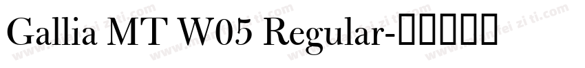 Gallia MT W05 Regular字体转换